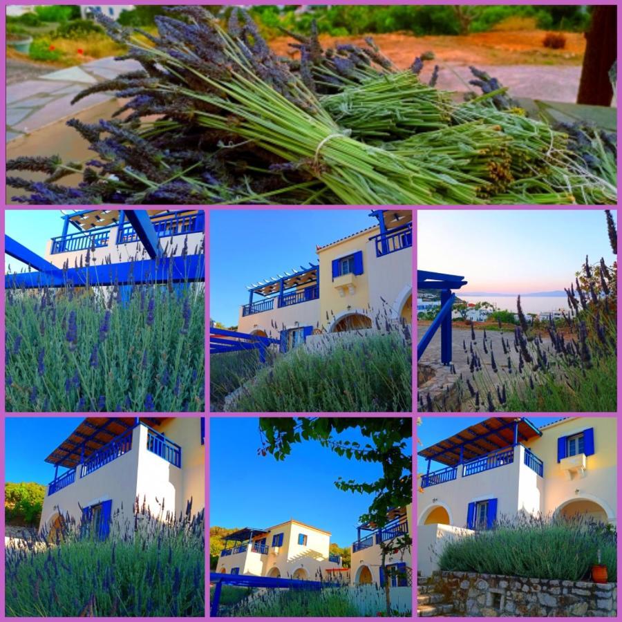 Evangelia House Sea View Apartments Agia Pelagia  Exteriér fotografie